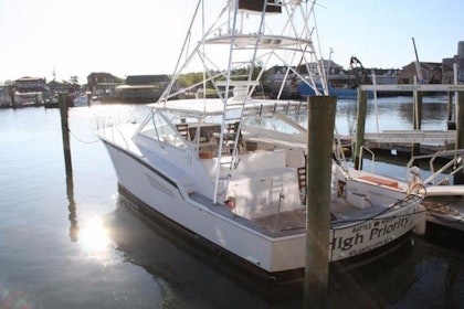 photo of 45' Hargrave Express 2001