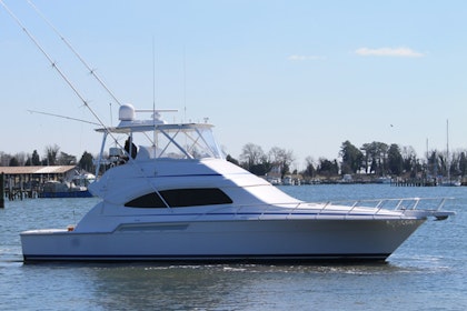photo of 51' Bertram 510 Convertible 2008