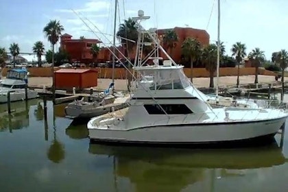 photo of 55' Hatteras Convertible 1988