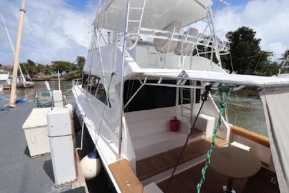photo of 55' Viking 55 1999
