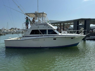 photo of 38' Bertram 385 Convertible 1983