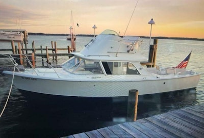 photo of 31' Bertram 31 1977