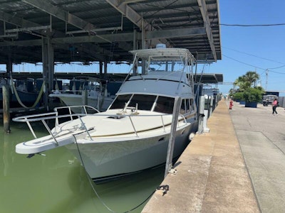 photo of 38' Bertram 38 Convertible 1981