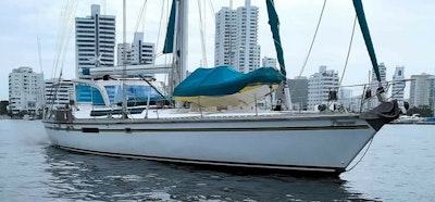 photo of 79' Dynamique 80 1995