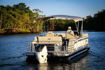 photo of 24' Vision V24 2025