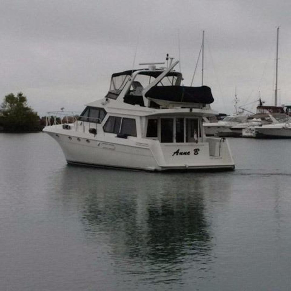 Navigator-5000 Classic 1998-Anne B Stuart-Florida-United States-Profile-371816
