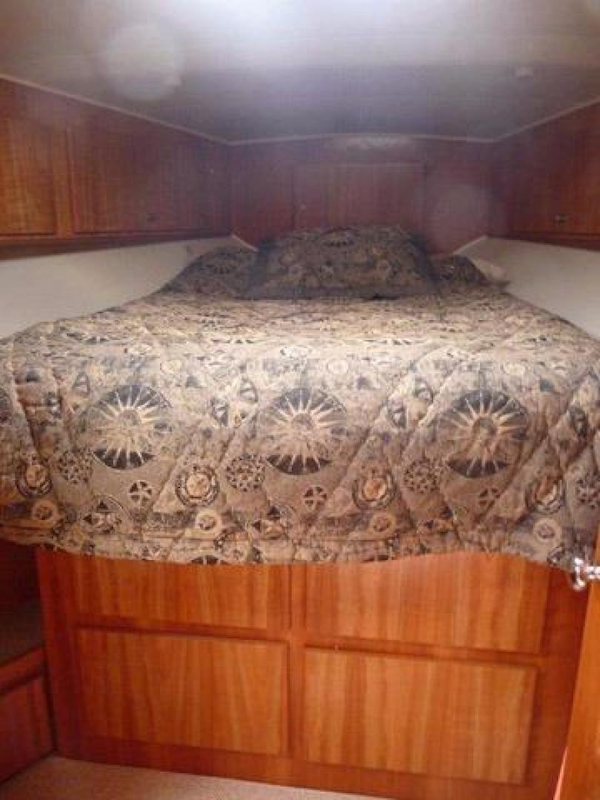 Navigator-5000 Classic 1998-Anne B Stuart-Florida-United States-VIP Stateroom-371830