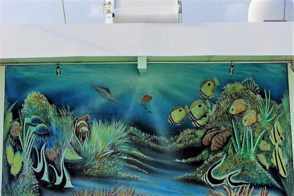 Shadow-Marine Expedition Mothership  Allure Class 2007-Global Ft. Lauderdale-Florida-United States-Pool Mural-919143