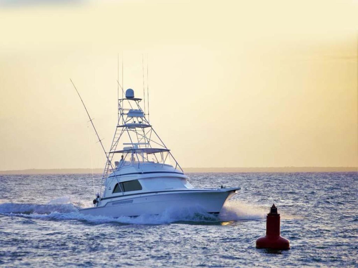 Bertram-54 Convertible 2000-Reel Healin Lighthouse Point-Florida-United States-2000 54 Bertram Profile-923997 | Thumbnail
