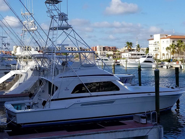 Bertram-54 Convertible 2000-Reel Healin Lighthouse Point-Florida-United States-At Dock-1065922