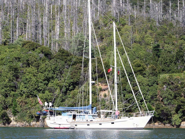 Custom-John Walsh Expedition Schooner 1988-Quest Ft. Lauderdale-Florida-United States-924097