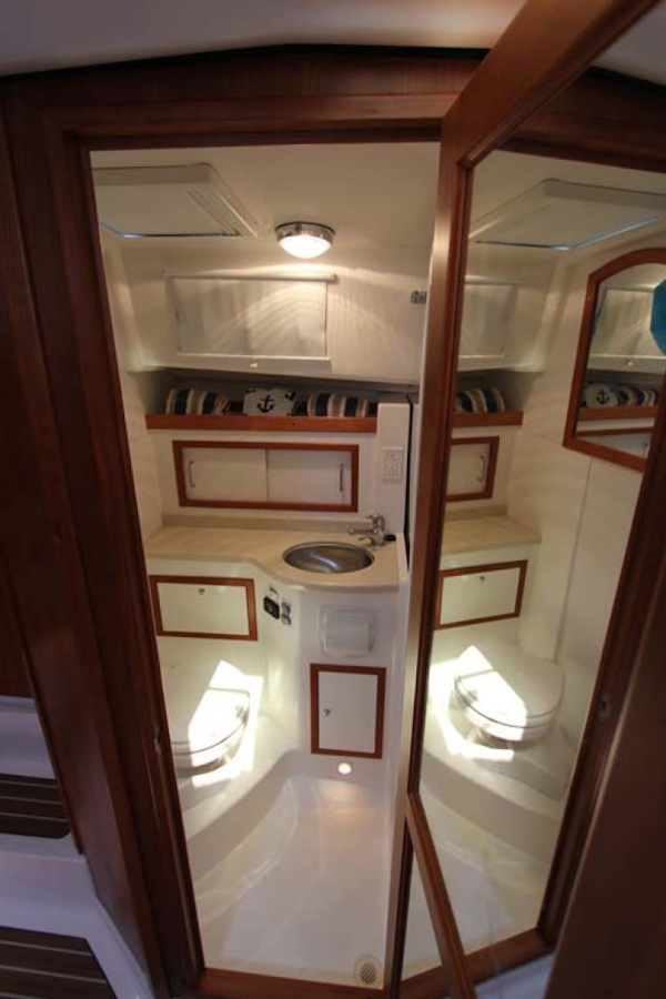 Back Cove-34 2015-Blue Chip Arnold-Maryland-United States-Head-1152177