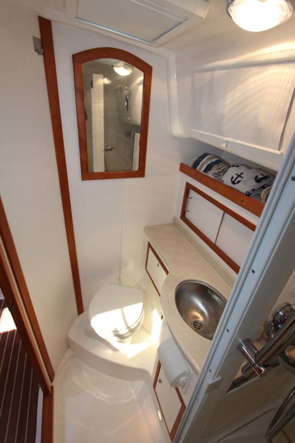 Back Cove-34 2015-Blue Chip Arnold-Maryland-United States-Head-1152178