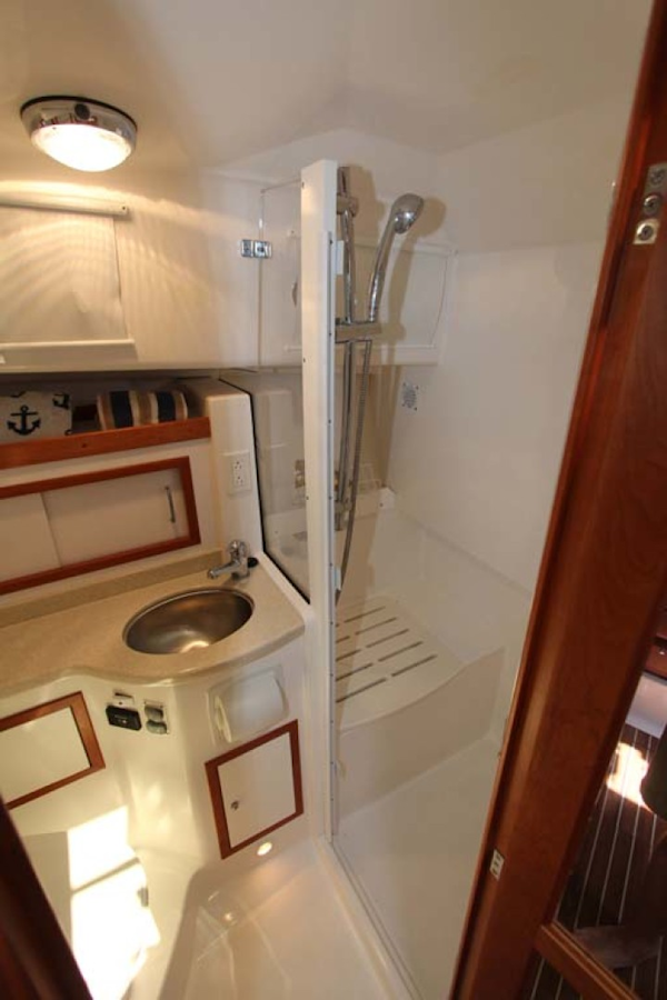Back Cove-34 2015-Blue Chip Arnold-Maryland-United States-Head-1152179