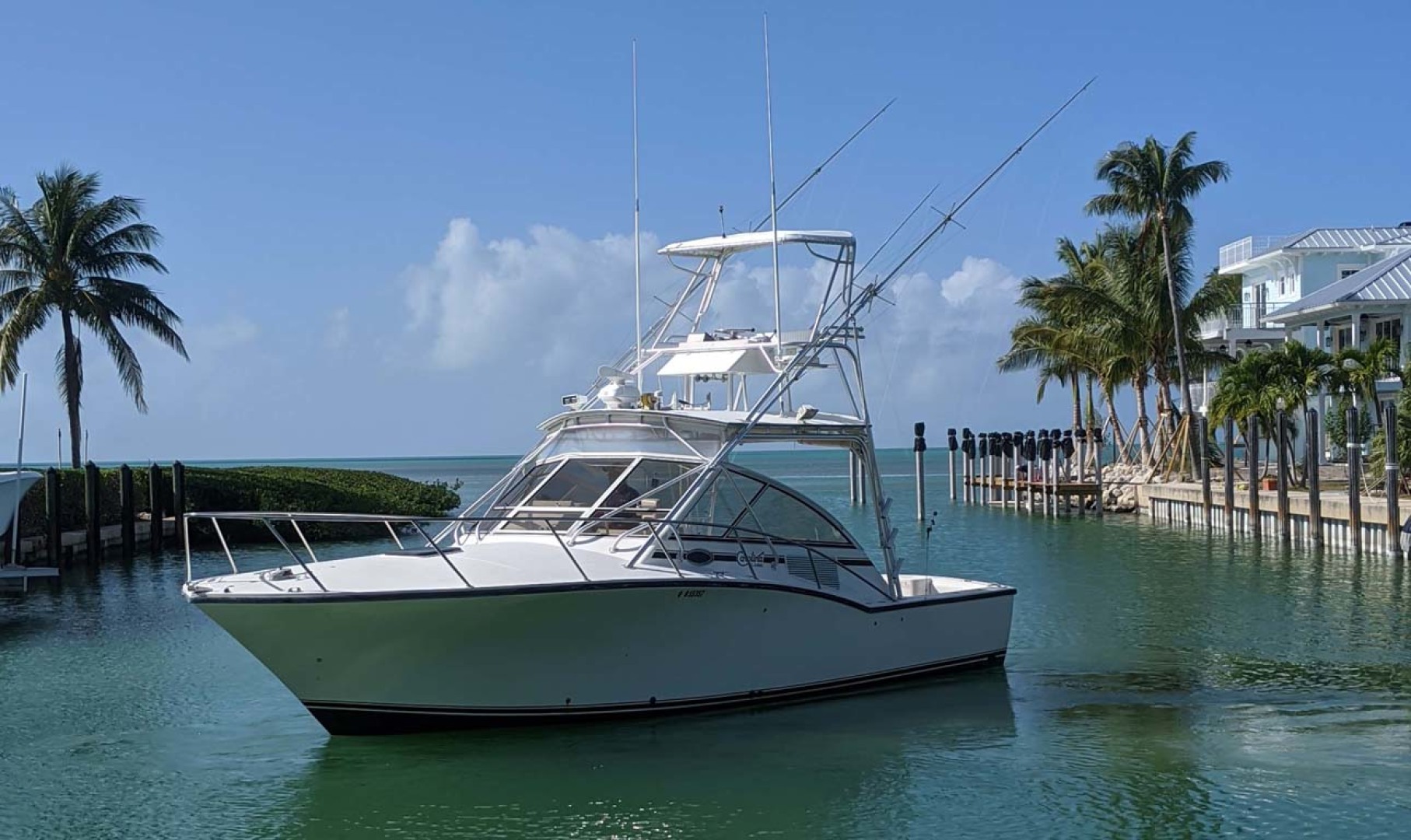 Carolina Classic-35 Express 2001-Fish Hard Key Largo-Florida-United States-Port Bow Profile-1289607 | Thumbnail