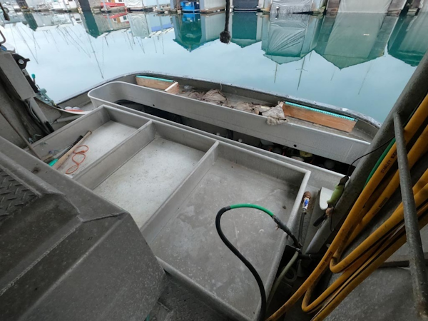 Custom-Bram Mfg/FH Marine 1989-Saint Jude Port Angeles-Washington-United States-Aft Deck-1298149