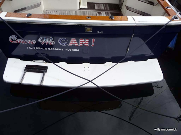 Sabre-36 Express Cruiser 2001-Cause We Can Palm Beach Gardens-Florida-United States-Swim Platform, Transom-1318590