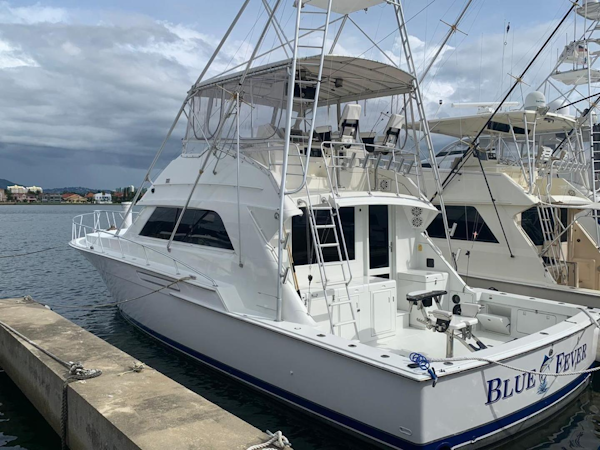 Bertram-50 Convertible 1988-Blue Fever Trinidad and Tobago-1357251