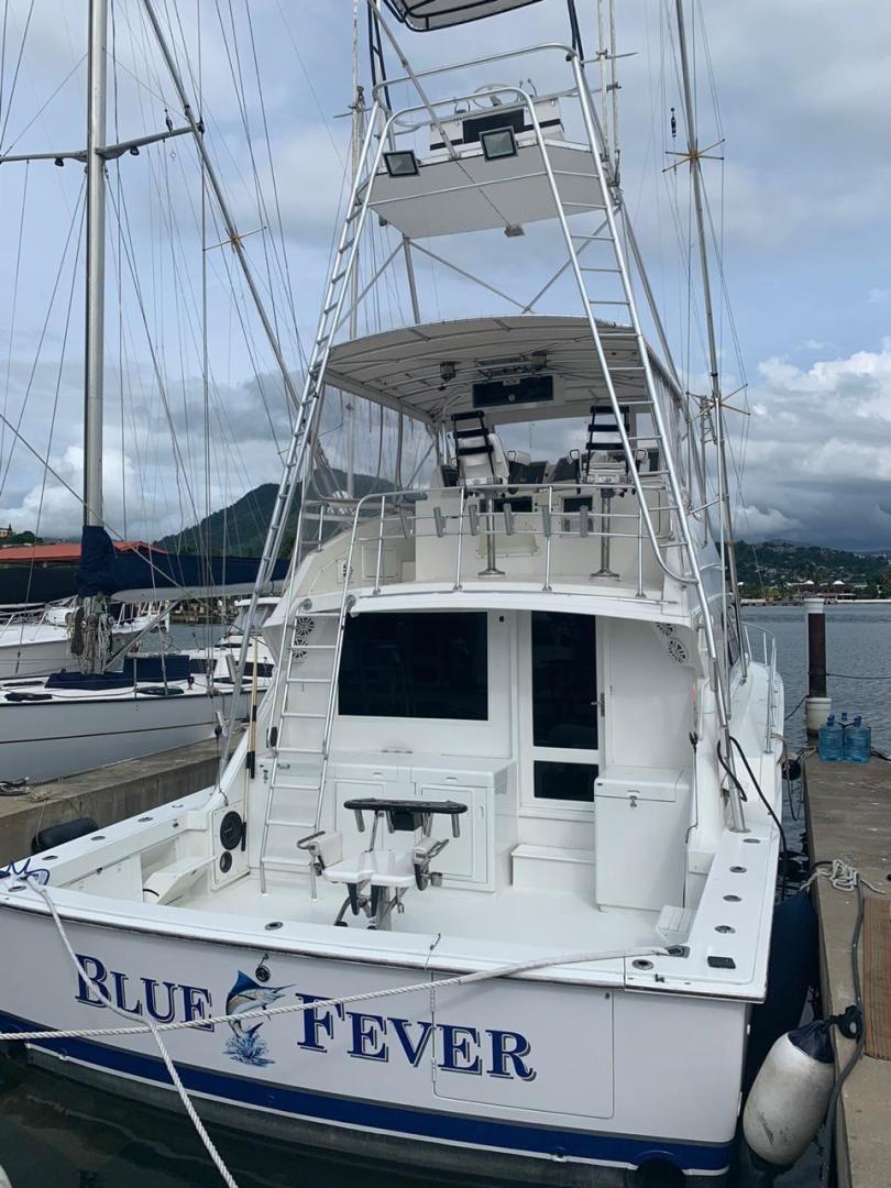 Bertram-50 Convertible 1988-Blue Fever Trinidad and Tobago-1357254 | Thumbnail
