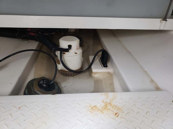 Everglades-350 CC 2011-Sea Predator Palm Beach Gardens-Florida-United States-Bilge Pump-1359653