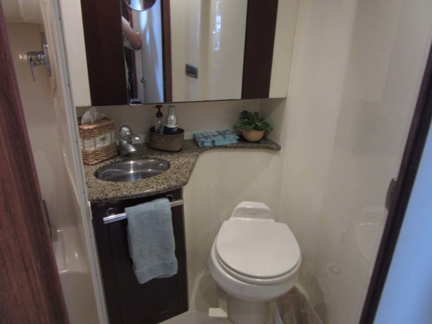 Sea Ray-44 Sedan Bridge 2006-Page Two St Petersburg-Florida-United States-Guest Head and Shower Stall Port-1490138 | Thumbnail