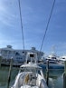Sea Fox-286 Pro Series 2010 -Ocean City-Maryland-United States-1518747 | Thumbnail
