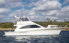 Ocean Yachts 2000-FISH EXERCISER Riviera Beach-Florida-United States-1552055 | Thumbnail