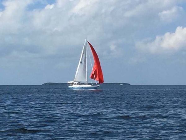 Catalina-355 2014 -Key Largo-Florida-United States-1613644