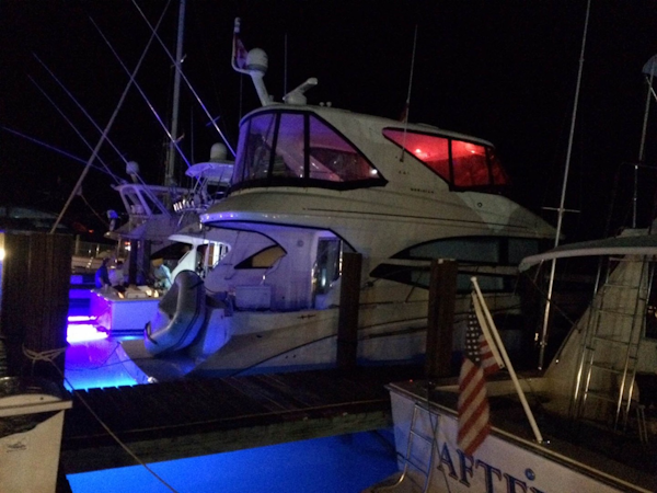 Meridian-441 SB 2016-Voyages 1 Palm Coast-Florida-United States-Lights At Night-1651156