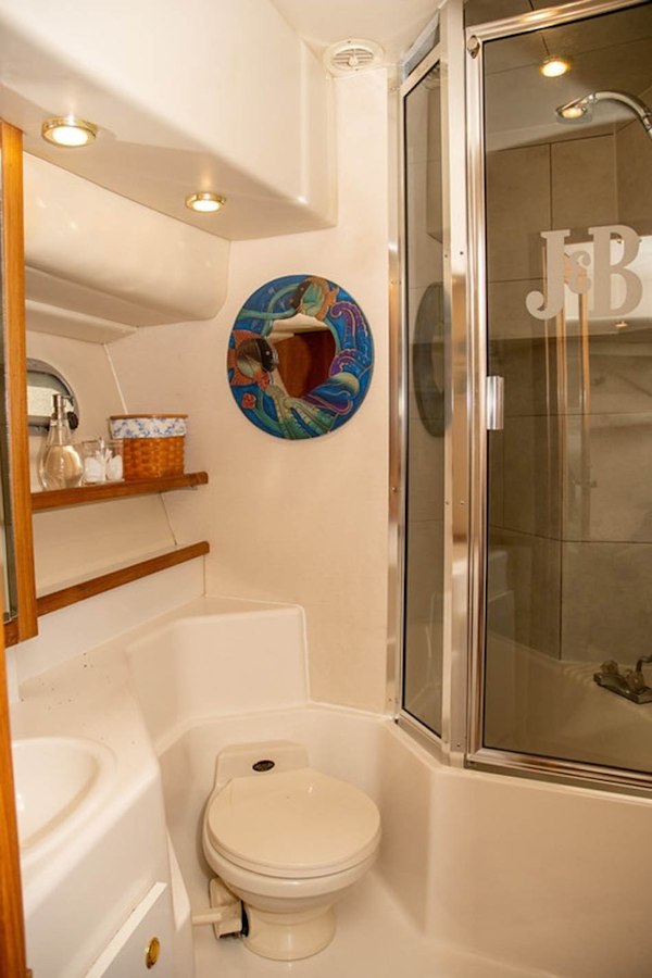 Bayliner-4788 Pilothouse 1998-J&B Mount Pleasant-South Carolina-United States-Master Head and Shower-1675789