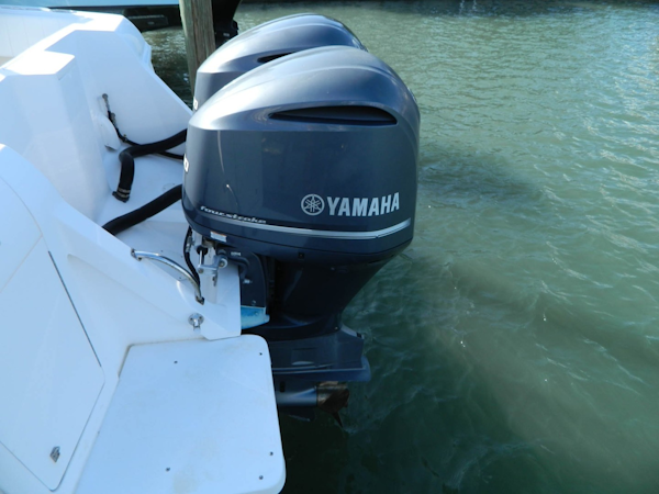 Intrepid-Walkaround 2011 -Stuart-Florida-United States-1692914