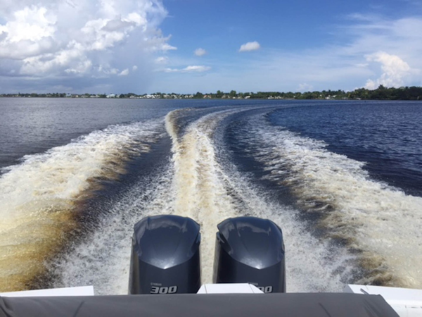 Intrepid-Walkaround 2011 -Stuart-Florida-United States-1692915