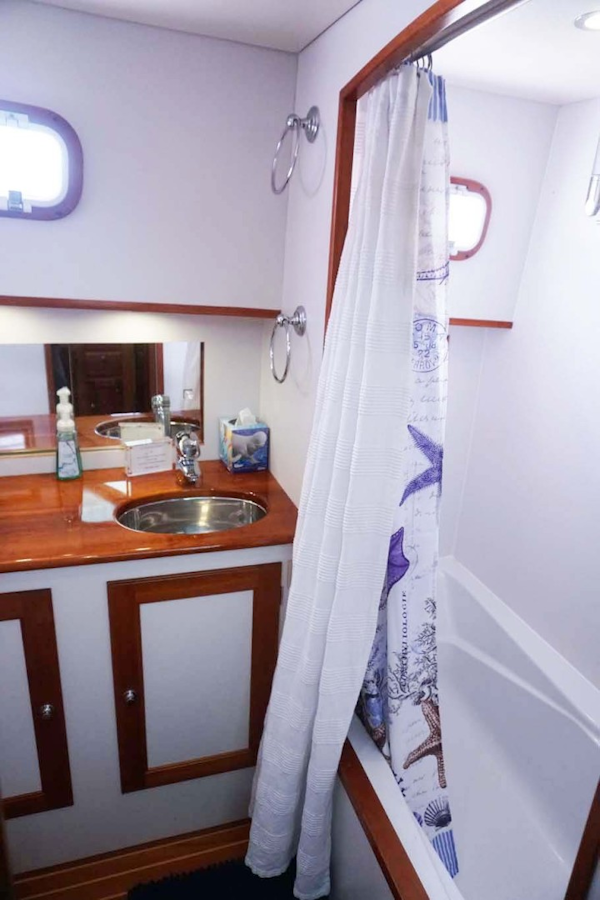 Alden Yachts-Flybridge 2003-Marie Miami-Florida-United States Master Shower Tub-1696530