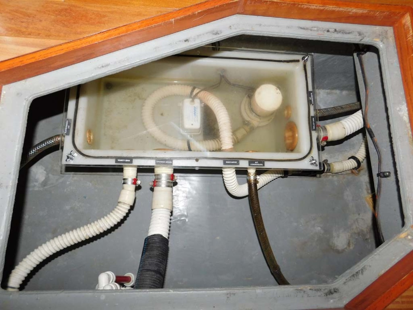 Sea Ray-420 Aft Cabin Motor Yacht 2002-TRAVELER Merritt Island-Florida-United States-Bilge Shower Pump-1749411 | Thumbnail