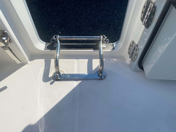 Regulator-31CC 2018 -Islamorada-Florida-United States-Removable Folding Ladder-1809649