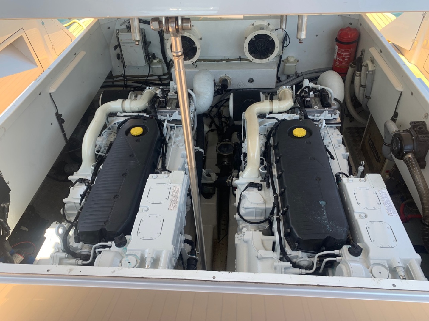 Maori-50 2017 -Fort Lauderdale-Florida-United States-1814046 | Thumbnail