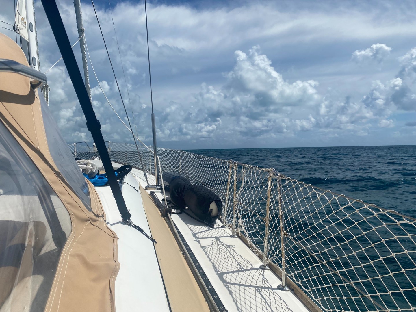 Jeanneau-53 2010 -Key Largo-Florida-United States-Standing Rig 1X19 Stainless Cable-1818211 | Thumbnail