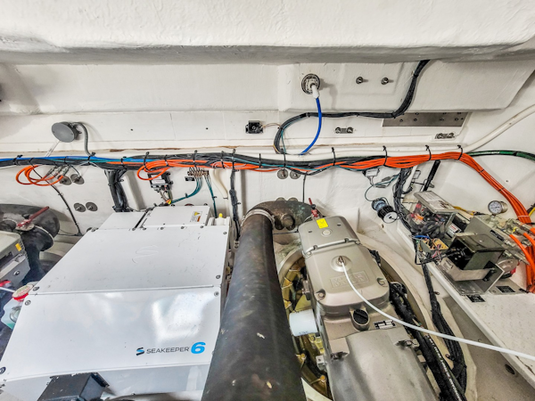 Cruisers-50 Cantius 2019 -Miami-Florida-United States-2029654
