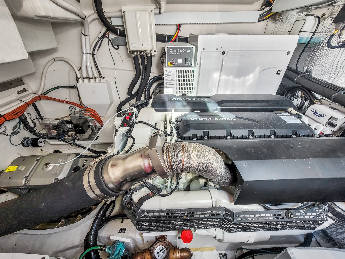 Cruisers-50 Cantius 2019 -Miami-Florida-United States-2029650 | Thumbnail