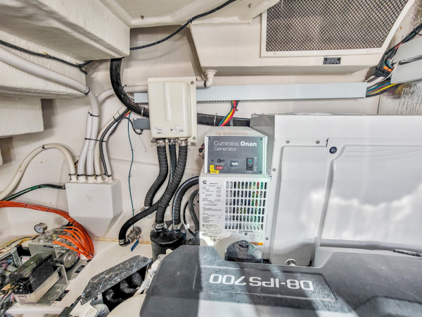 Cruisers-50 Cantius 2019 -Miami-Florida-United States-2029651