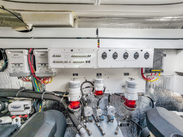 Cruisers-50 Cantius 2019 -Miami-Florida-United States-2029657