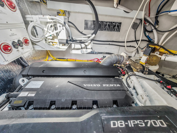 Cruisers-50 Cantius 2019 -Miami-Florida-United States-2029652