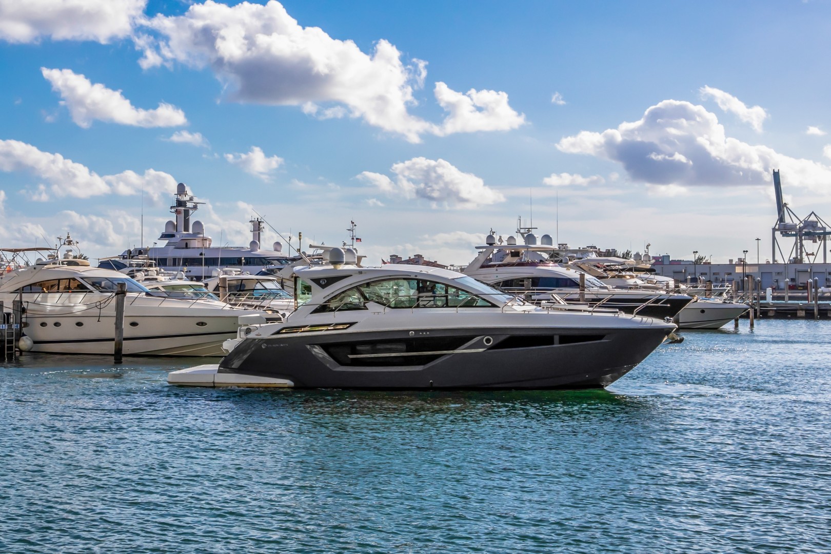 Cruisers-50 Cantius 2019 -Miami-Florida-United States-2029615 | Thumbnail