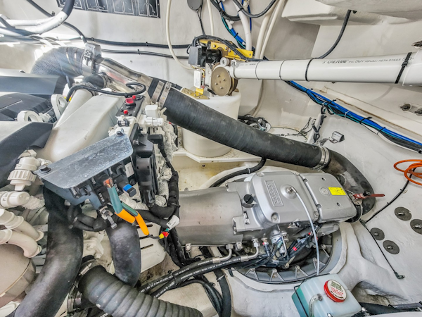 Cruisers-50 Cantius 2019 -Miami-Florida-United States-2029656