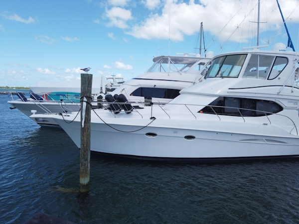 Silverton-Cape May 520 2013-Take Two Key West-Florida-United States-Port Side Foredeck-2027499