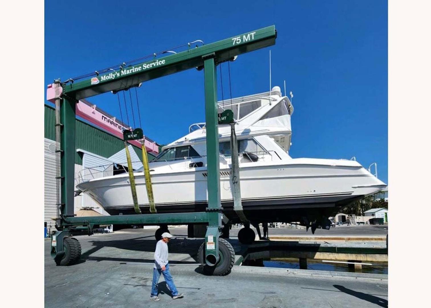 Sea Ray-Sedan Bridge 1995-Paradise II Naples-Florida-United States-Bottom-3621676 | Thumbnail