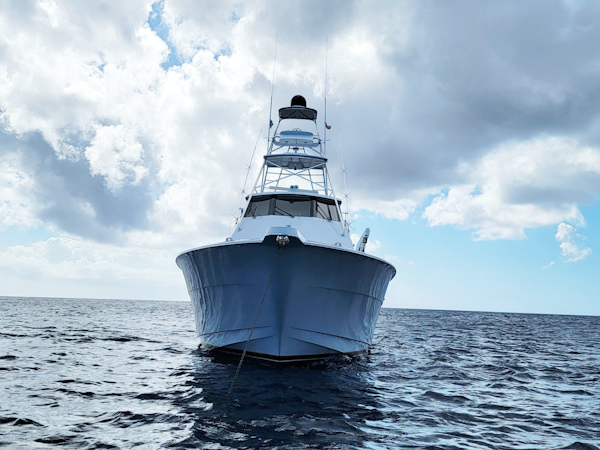 Hatteras-60 Convertible 2006-Take It Deep Fort Lauderdale-Florida-United States-Bow View-3198904