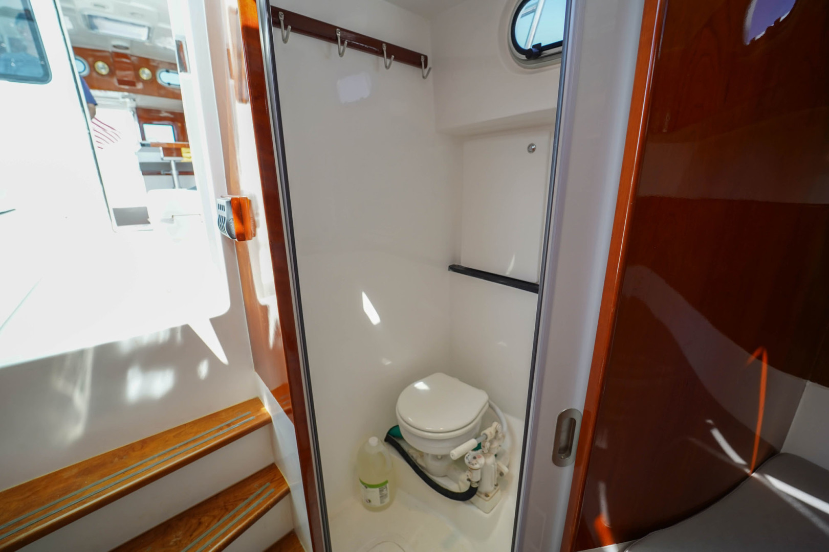 SeaPiper-35 2018-Cahoots St. Petersburg-Florida-United States-Head-3247969 | Thumbnail