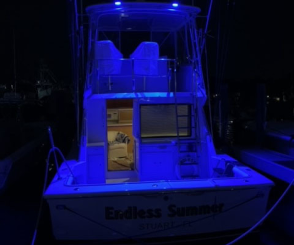 Hatteras-39 Convertible 1998-Endless Summer Stuart-Florida-United States-3308911