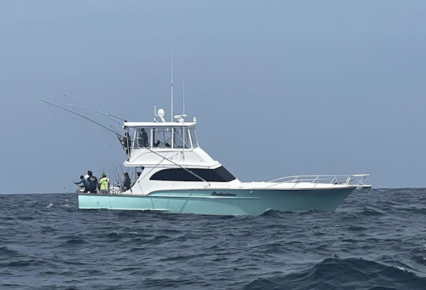Custom Carolina-Lewis Brothers 54 Flybridge S/F 1995-Bodacious Cape May-New Jersey-United States-Main Profile-3371101